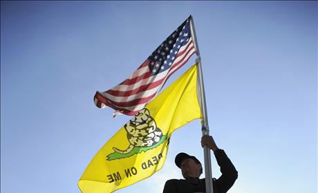 A Tea Party supporter flies his flags during the third and final day of legal arguments over the Patient Protection and Affordable Care Act in Washington