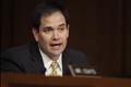 US Senator Marco Rubio