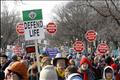 Pro-life protesters are pictured during their annual March for Life in Washington
